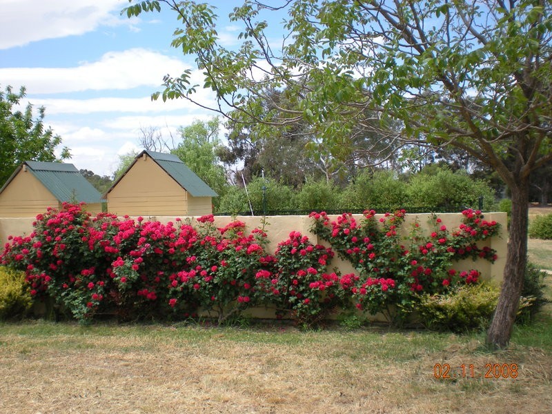 44  Glenmaree Drive, Wangaratta VIC 3677