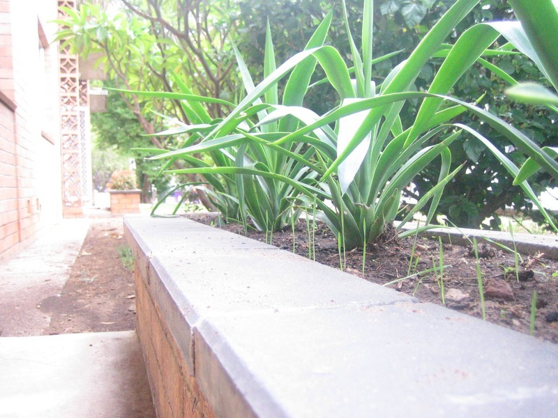 3/194  Fullarton Rd, Dulwich SA 5065