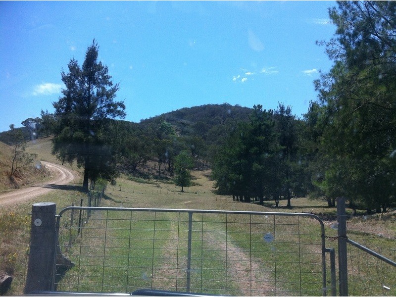 540 Riverlea Road, Mudgee NSW 2850