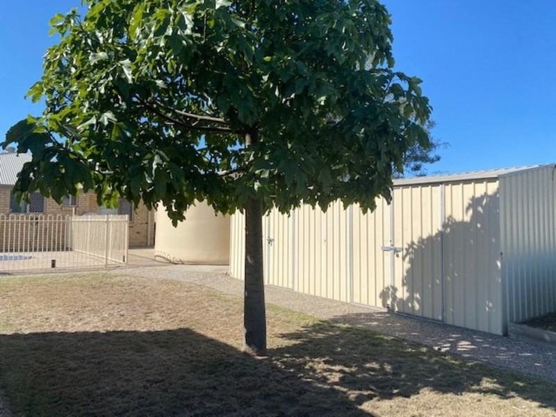 33 Mayfair Drive, Emerald QLD 4720