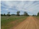 Nymagee NSW 2831