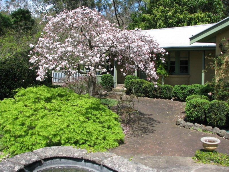 Mount Kembla NSW 2526