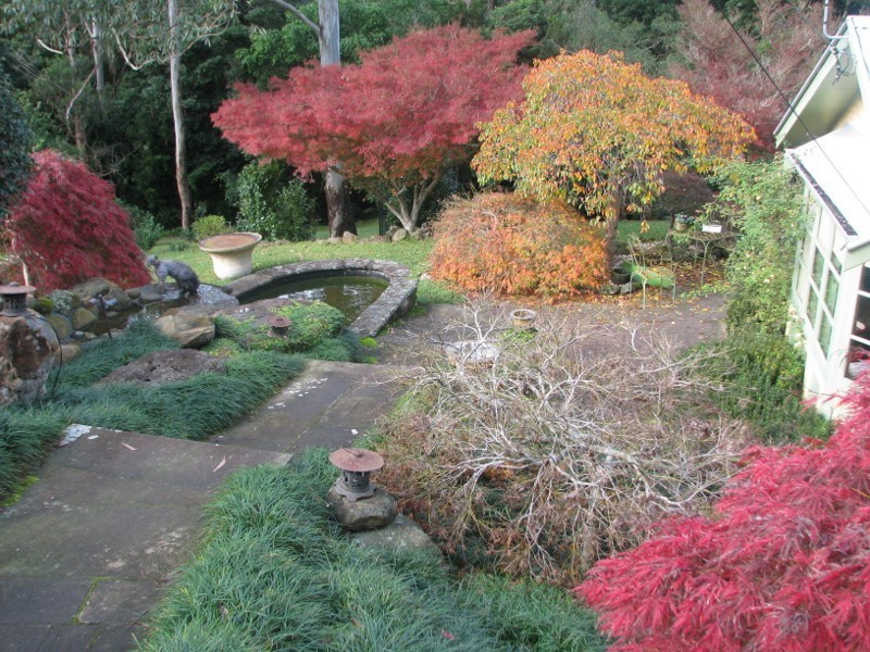 Mount Kembla NSW 2526