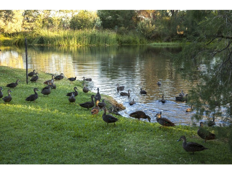 59 Kilkenny Circle, Waterford WA 6152