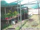 398 Scarborough Rd, Scarborough QLD 4020