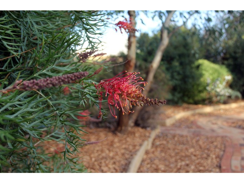 7 Barracks Close, Dubbo NSW 2830