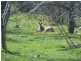 Whittlesea VIC 3757