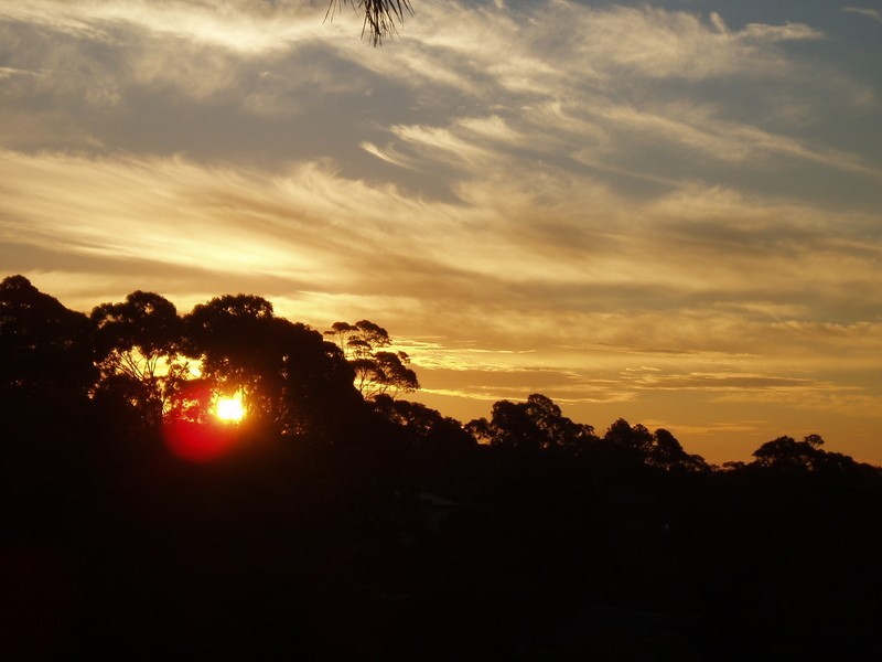 4 Tallara Place, Terrey Hills NSW 2084