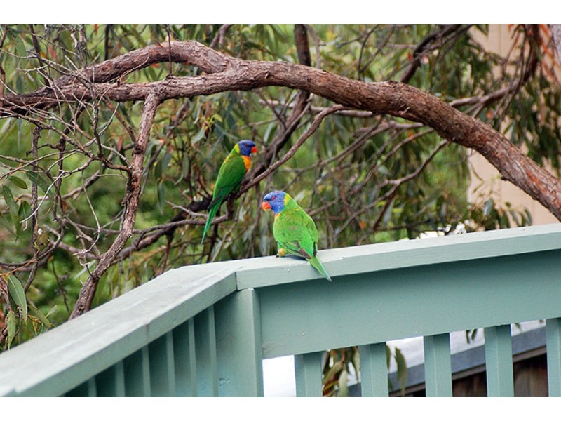 18 Woy Woy Bay Road, Woy Woy Bay NSW 2256