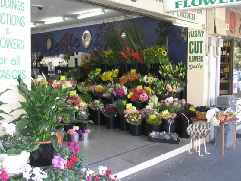 13-17 Bellevue Rd, Bellevue Hill NSW 2023