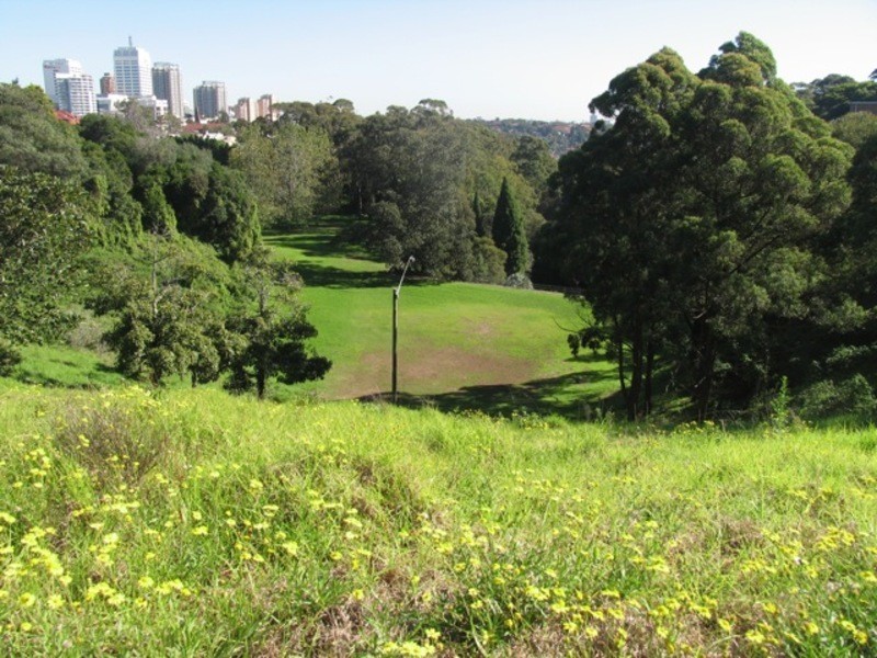 13-17 Bellevue Rd, Bellevue Hill NSW 2023