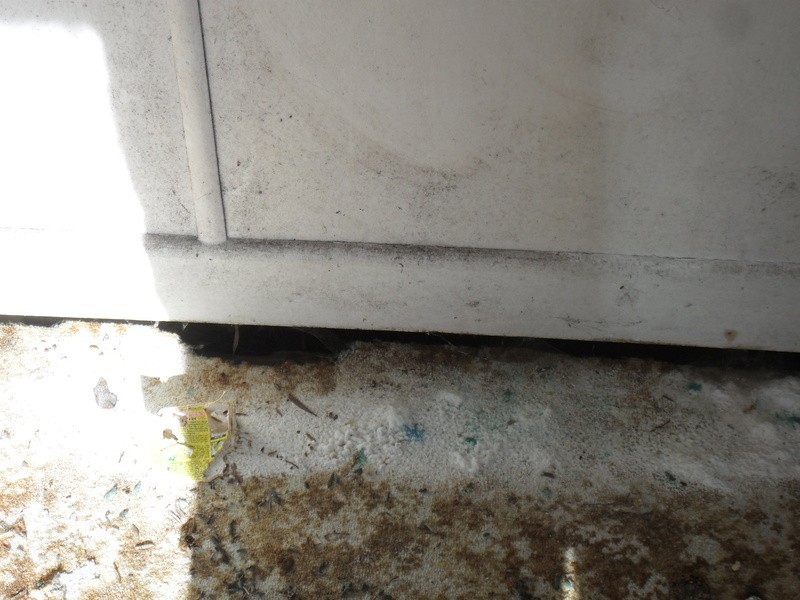 12 Batchelor st, Queenstown TAS 7467