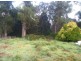 5  Hollywood st, Rosebery TAS 7470