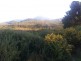 lot 3 and 4 Counsel st, Zeehan TAS 7469