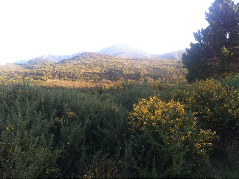 lot 3 and 4 Counsel st, Zeehan TAS 7469