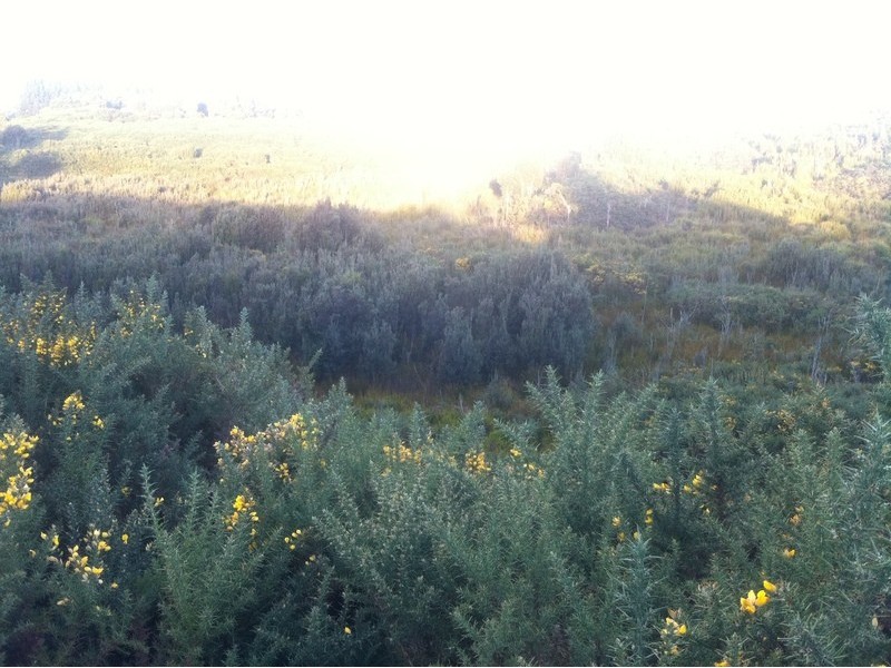 lot 3 and 4 Counsel st, Zeehan TAS 7469