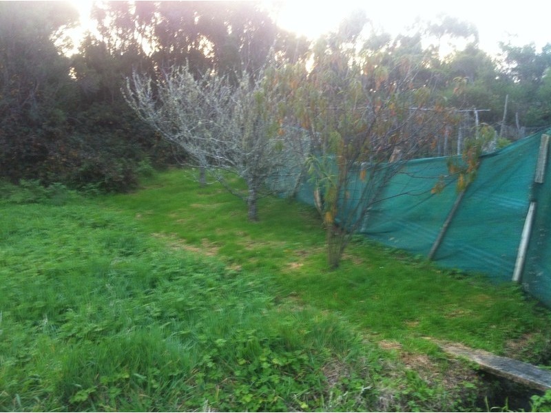Lot 24 Herbert, Strahan TAS 7468