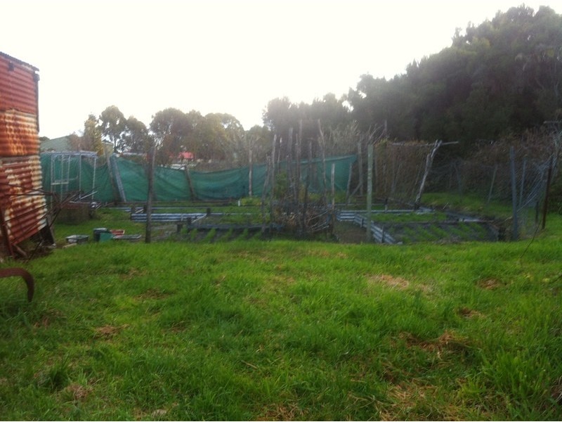 Lot 24 Herbert, Strahan TAS 7468