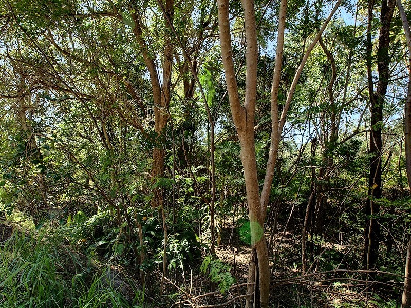 2 Lyell Court, Mount Samson QLD 4520