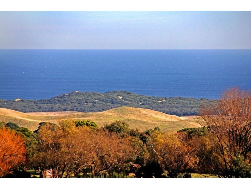 60 Pattersons Road, Cape Schanck VIC 3939