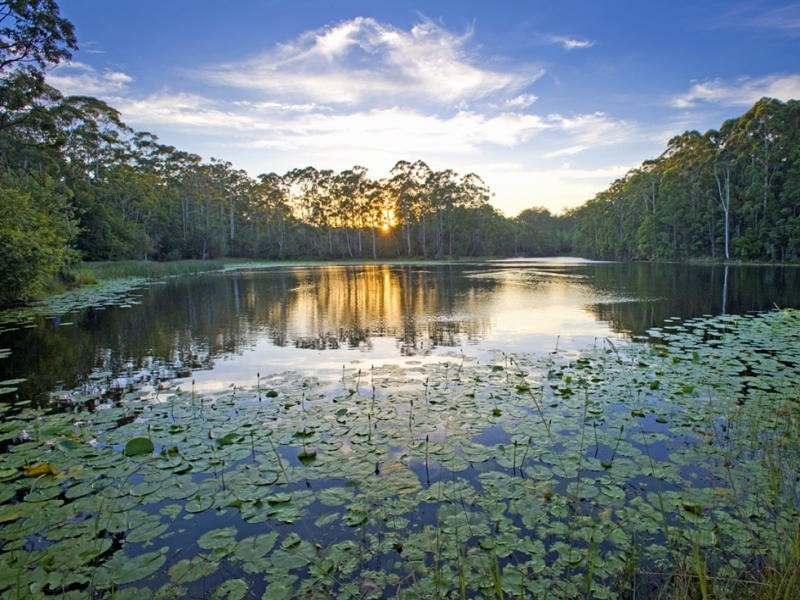10 Osprey Drive, Urunga NSW 2455