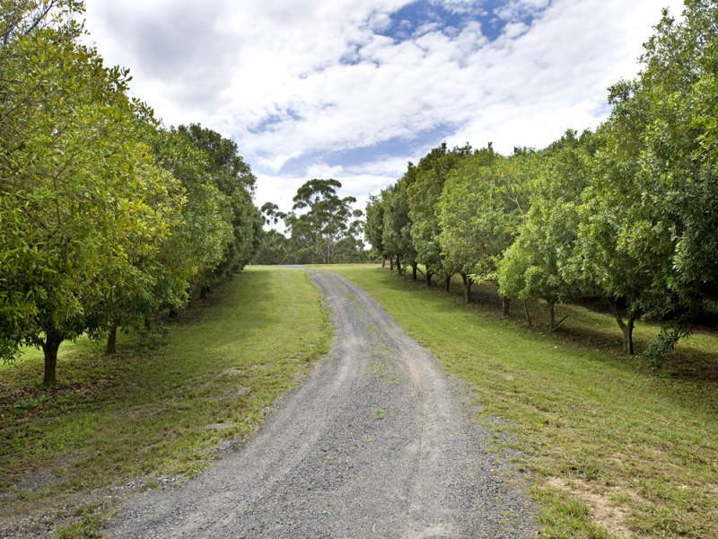10 Osprey Drive, Urunga NSW 2455