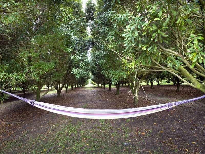 10 Osprey Drive, Urunga NSW 2455