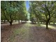 10 Osprey Drive, Urunga NSW 2455