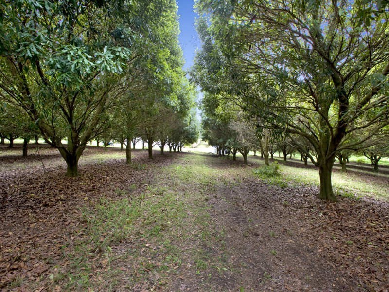 10 Osprey Drive, Urunga NSW 2455