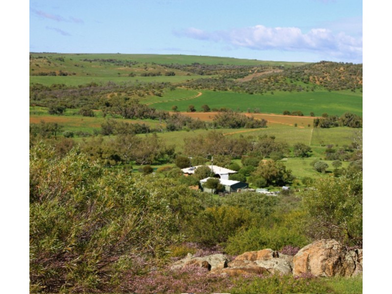 393 Isseka Road East, Bowes WA 6535