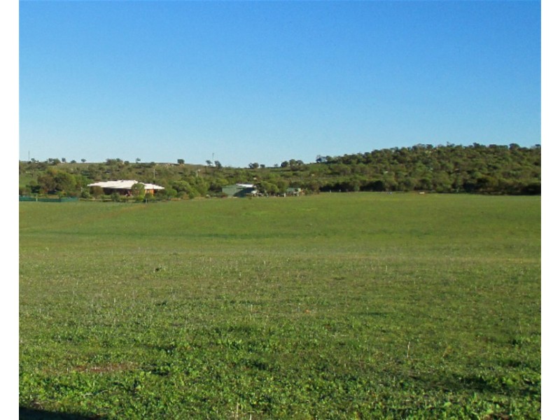 393 Isseka Road East, Bowes WA 6535