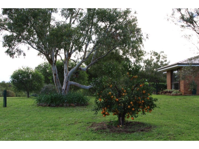 393 Isseka Road East, Bowes WA 6535