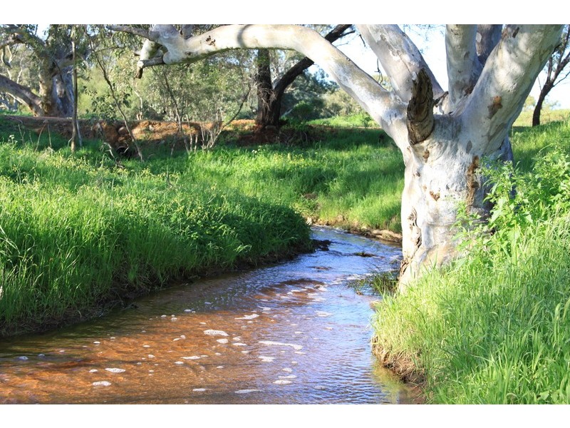 393 Isseka Road East, Bowes WA 6535