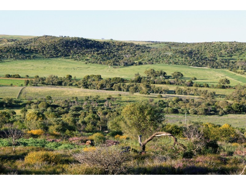 393 Isseka Road East, Bowes WA 6535