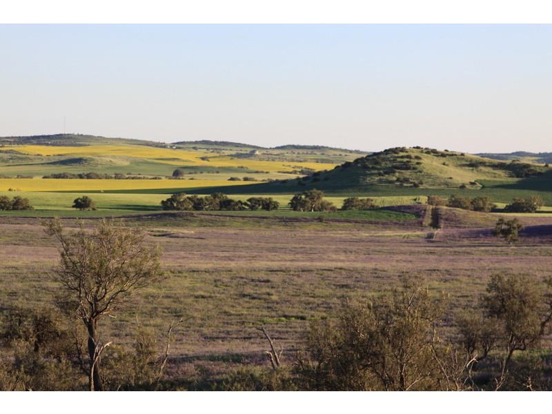 393 Isseka Road East, Bowes WA 6535