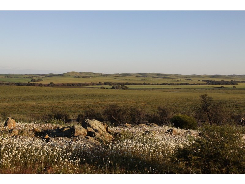 393 Isseka Road East, Bowes WA 6535