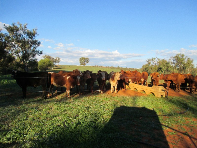 393 Isseka Road East, Bowes WA 6535