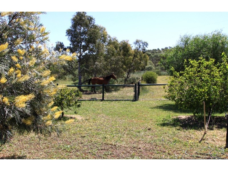 393 Isseka Road East, Bowes WA 6535