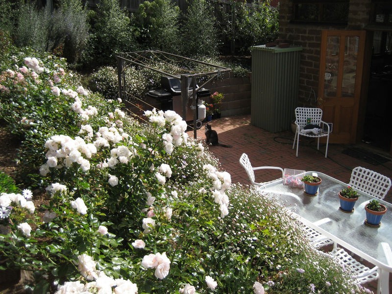 81 Lord St, Sandy Bay TAS 7005