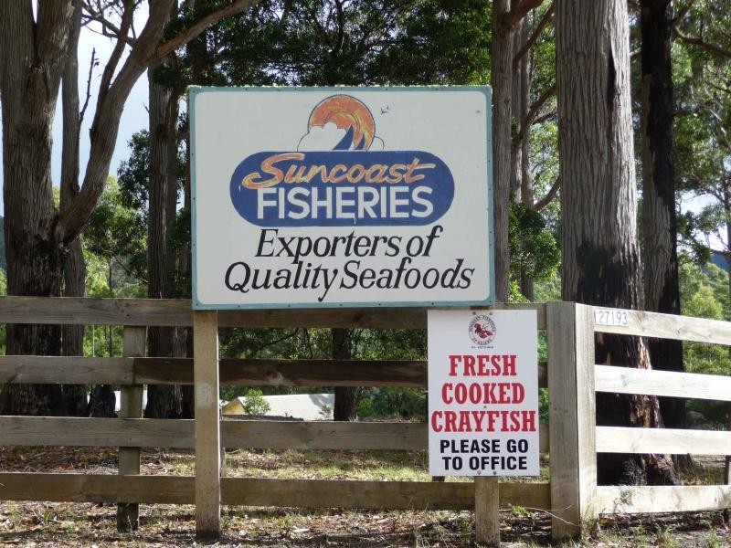 27193 Tasman Highway, Goshen TAS 7216