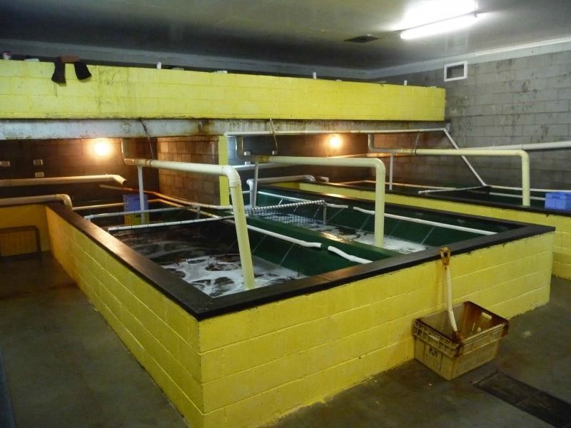 27193 Tasman Highway, Goshen TAS 7216