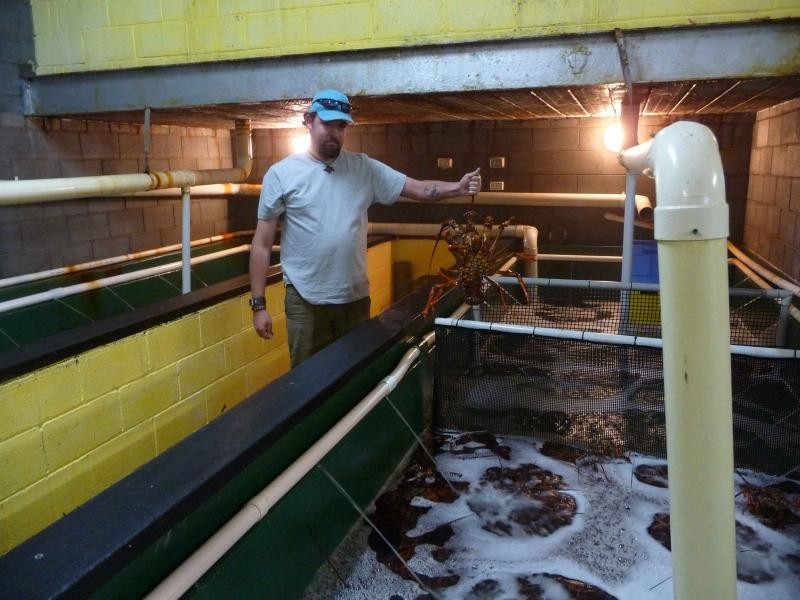 27193 Tasman Highway, Goshen TAS 7216