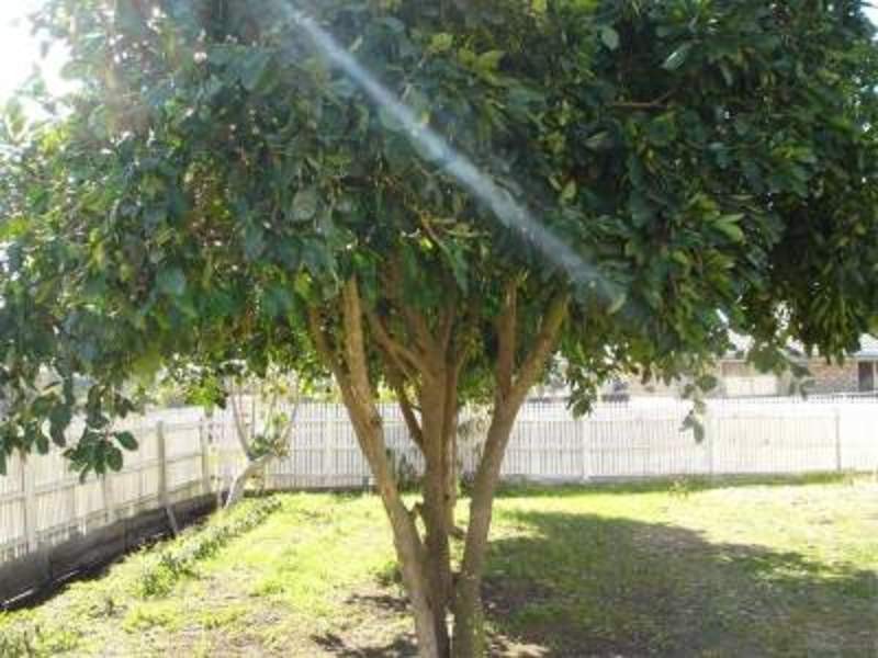 Redbank Plains QLD 4301