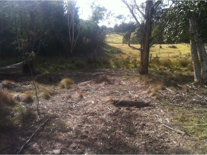 Lot 1 McCurleys Rd, Harolds Cross NSW 2622