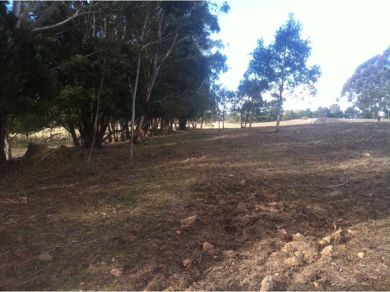 Lot 1 McCurleys Rd, Harolds Cross NSW 2622