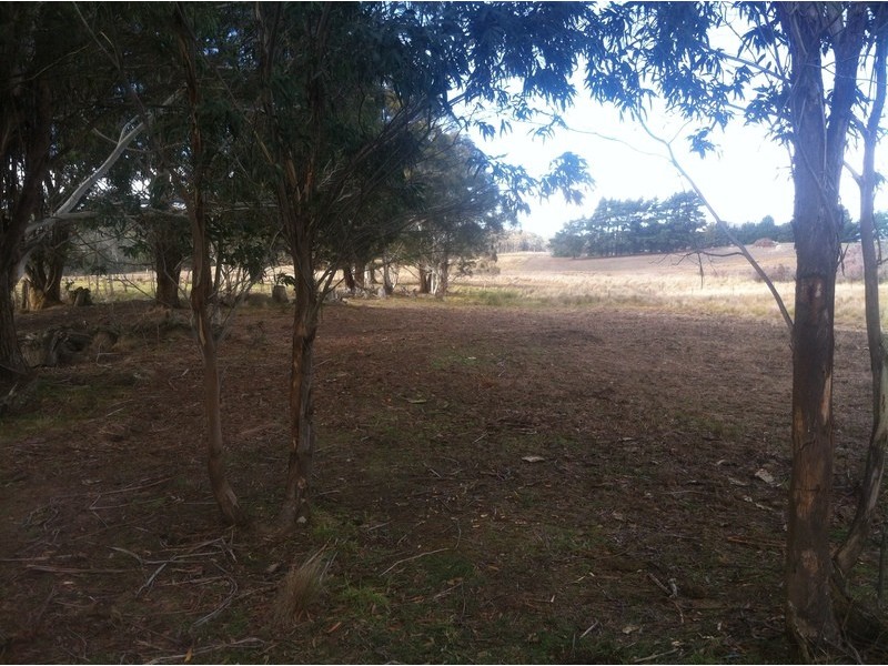Lot 1 McCurleys Rd, Harolds Cross NSW 2622