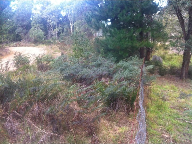 Lot 1 McCurleys Rd, Harolds Cross NSW 2622