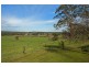 150 Yaugher, Forrest VIC 3236