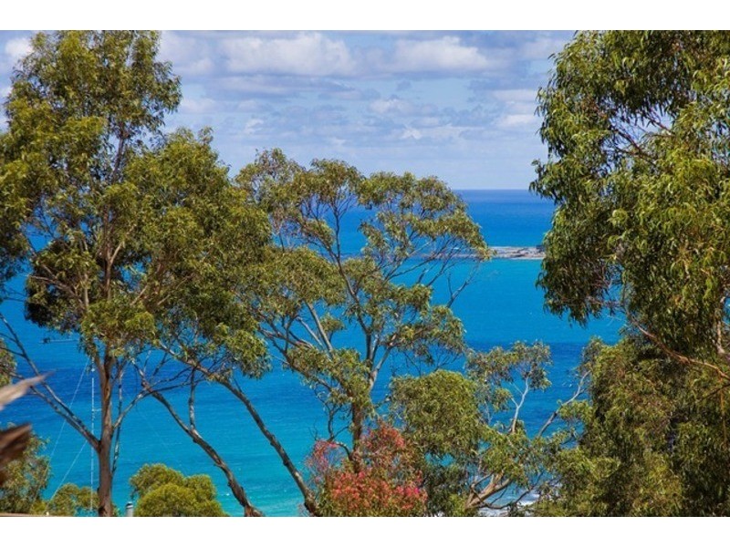 10 Skyline Court, Lorne VIC 3232