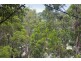 21 Durimbil Avenue, Wye River VIC 3221